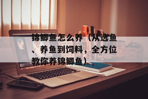 锦鲫鱼怎么养（从选鱼、养鱼到饲料，全方位教你养锦鲫鱼）-第1张图片-