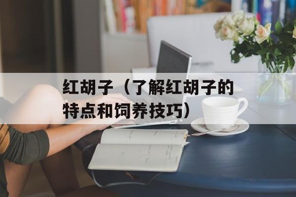 红胡子（了解红胡子的特点和饲养技巧）-第1张图片-