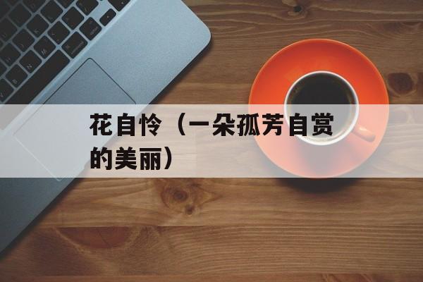 花自怜（一朵孤芳自赏的美丽）-第1张图片-