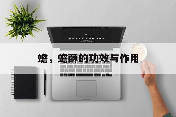 蟾，蟾酥的功效与作用-第1张图片-