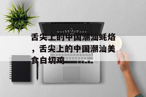 舌尖上的中国潮汕蚝烙，舌尖上的中国潮汕美食白切鸡-第1张图片-