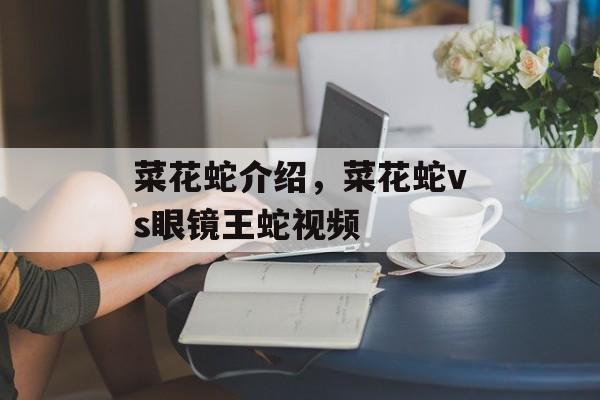 菜花蛇介绍，菜花蛇vs眼镜王蛇视频-第1张图片-