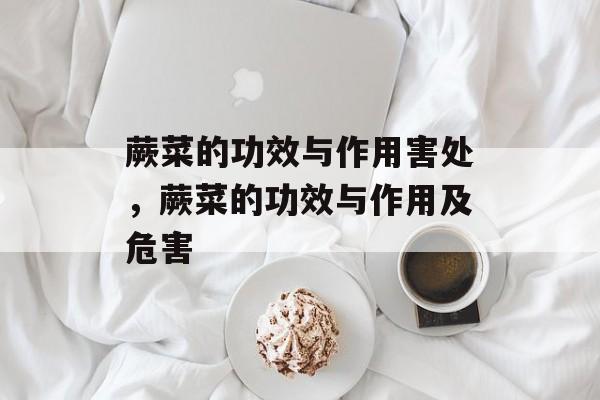 蕨菜的功效与作用害处，蕨菜的功效与作用及危害-第1张图片-