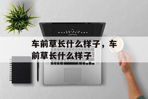 车前草长什么样子，车前草长什么样子-第1张图片-