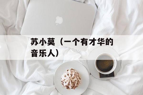 苏小莫（一个有才华的音乐人）-第1张图片-