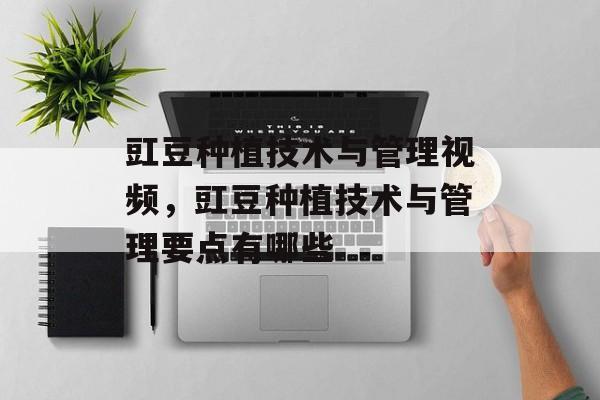 豇豆种植技术与管理视频，豇豆种植技术与管理要点有哪些-第1张图片-