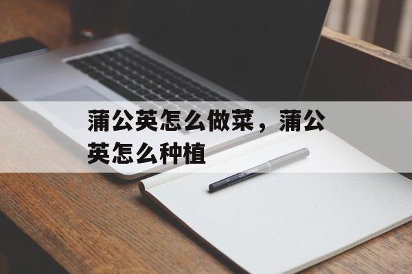 蒲公英怎么做菜，蒲公英怎么种植-第1张图片-