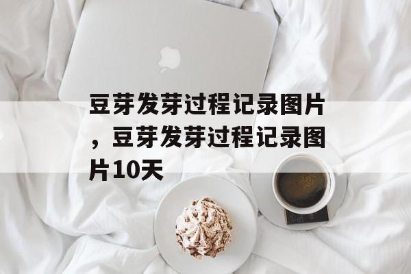 豆芽发芽过程记录图片，豆芽发芽过程记录图片10天-第1张图片-