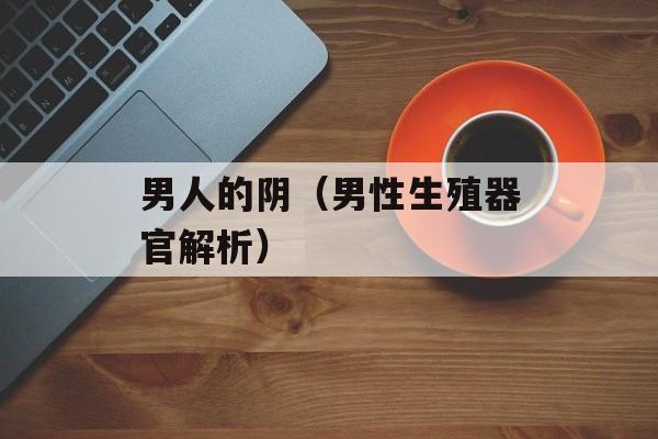 男人的阴（男性生殖器官解析）-第1张图片-