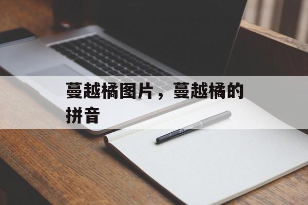 蔓越橘图片，蔓越橘的拼音-第1张图片-