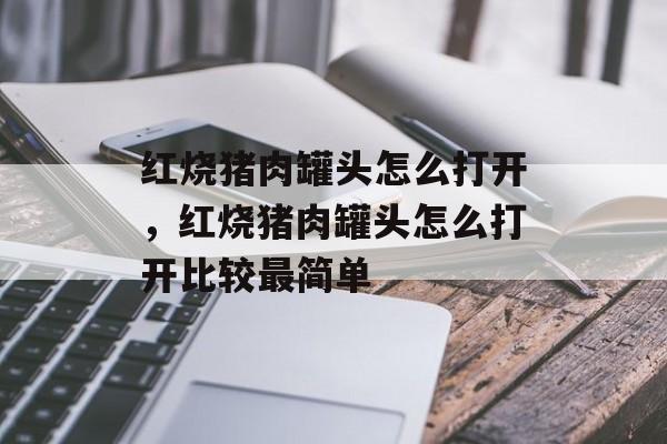 红烧猪肉罐头怎么打开，红烧猪肉罐头怎么打开比较最简单-第1张图片-