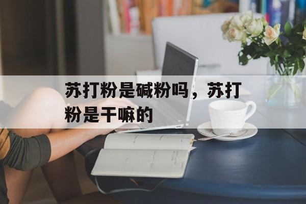 苏打粉是碱粉吗，苏打粉是干嘛的-第1张图片-