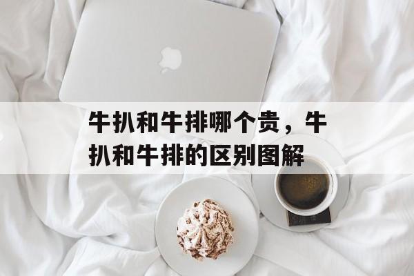 牛扒和牛排哪个贵，牛扒和牛排的区别图解-第1张图片-