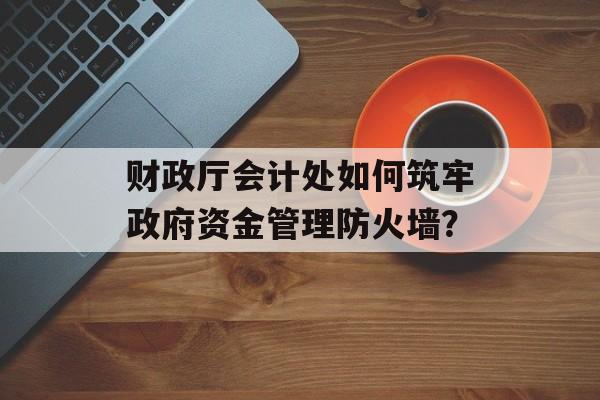 财政厅会计处如何筑牢政府资金管理防火墙？-第1张图片-