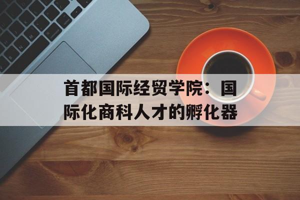 首都国际经贸学院:国际化商科人才的孵化器-第1张图片- 首都国际经贸学院:国际化商科人才的孵化器-第1张图片-