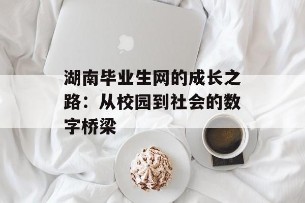 湖南毕业生网的成长之路：从校园到社会的数字桥梁-第1张图片-