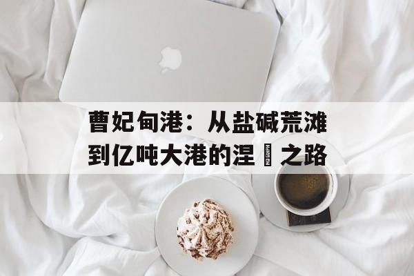 曹妃甸港：从盐碱荒滩到亿吨大港的涅槃之路-第1张图片-