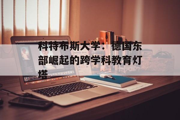 科特布斯大学：德国东部崛起的跨学科教育灯塔-第1张图片-