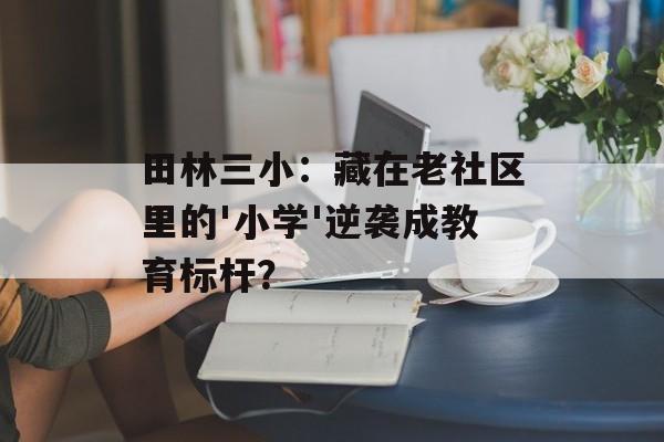 田林三小：藏在老社区里的'小学'逆袭成教育标杆？-第1张图片-