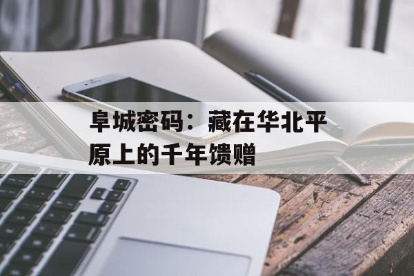 阜城密码：藏在华北平原上的千年馈赠-第1张图片-
