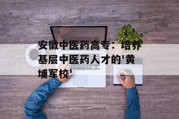 安徽中医药高专：培养基层中医药人才的'黄埔军校'-第1张图片-